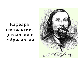 ������� �������������