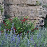 ���������� ����� ���� ���� - 2 �����