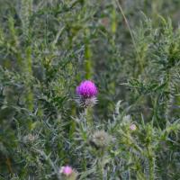 ���������� ����� ���� ���� - 2 �����