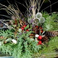 ������� ����� - 3 �����