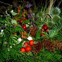 ������� ����� - 3 �����