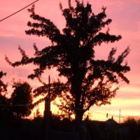 ����� �� ������ - 1 �����