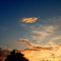 ������ - 1 �����