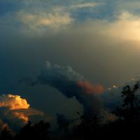 ������ - 1 �����