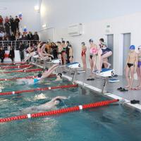 �������� ��������