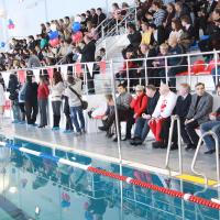 �������� ��������