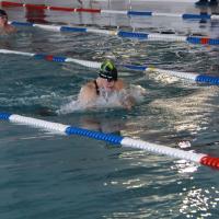 �������� ��������